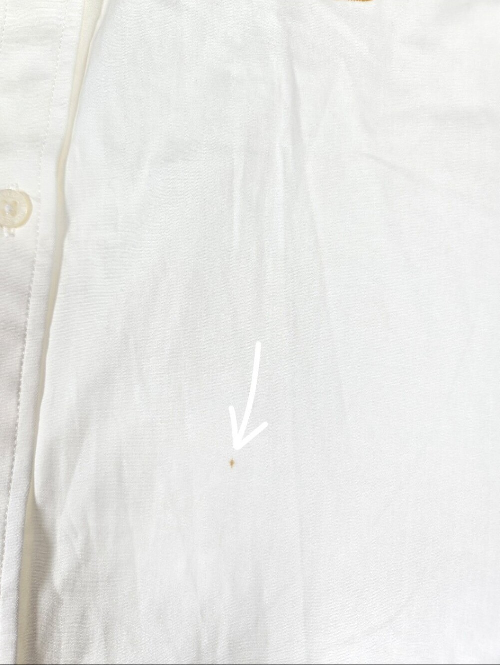 NEW Lauren Ralph Lauren Embroidered Crest Ivory Long Sleeve Button Down Top XL - Picture 8 of 16